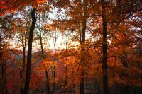 6 New Jersey Hikes With Beautiful Fall Foliage