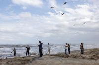 Texas Parks and Wildlife reportedly considered selling Boca Chica State Park to SpaceX