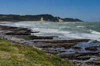 Woman Killed in Shark Attack During Morning Swim Off South African Coast