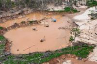 Human rights commission urges oversight of technology used in Latin American environmental crime