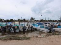 Faecal waste pollutes drinking water in Mexico’s Yucatan, Greenpeace says