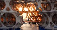 How Public Art Abu Dhabi Biennial is reimagining the meaning of home