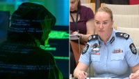AFP sounds alarm over radicalisation of Aussie teenagers as school shooting plot uncovered