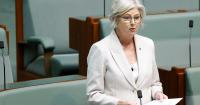 Australian lawmaker reportedly loses leg after hit by car, police say driver targeted her