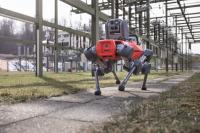 North Carolina must adapt to AI