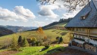 Why Rick Steves Thinks Germany's Black Forest Is Wildly Overrated