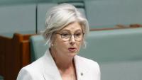 Australian MP's husband shares health update from hospital after 'car ramming'