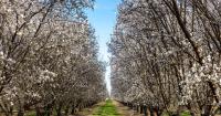 10 big ingredients concentrated in a single region