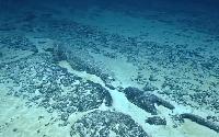 MMA issues final notice for Deep-Sea Mineral Leases Near American Samoa