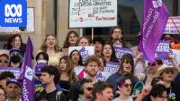 Hundreds rally at parliament against proposed university merger