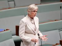 Australian MP loses both legs in vehicle attack as suspect appears in court