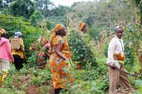 Cameroon Considers Expanding Agro-Processing Technology Centers for Rural Women