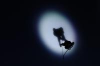 A bleak picture for Getty Images: Photography giant enters Chapter 11 bankruptcy proceedings