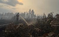 Forest fires and haze disrupt tourism operations across Indonesia