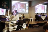 Korean doctor operates remotely from Seoul on pig in Shanghai