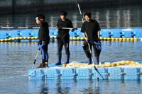 South Korea launches new bid to guide crowd-pulling shark to sea