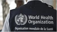 WHO advises nations against imposing travel, trade restrictions on Ebola-affected countries