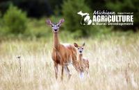 Chronic Wasting Disease Confirmed in Farmed Cervid in Hillsdale County