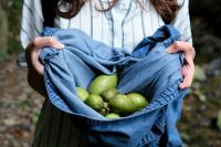 West Virginia grants target new markets for pawpaws, forest crops