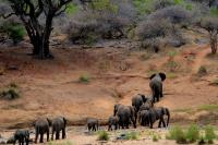 Kruger National Park: How much you’ll pay to enter from 1 November