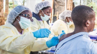 Ebola strikes Nigeria: imported case raises alarm across West Africa