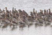 What’s on and days out: Enjoy winter wildlife walks and events at this Lancashire nature reserve