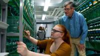 UMaine researchers study blood pressure meds as flu treatment -- with a a little help from a tiny fish