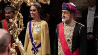 Was Kate Middleton's Elie Saab gown a nod to Oman's endangered Arabian leopards?