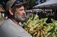 Whether Stringing’ or Looping,’ Tobacco Is the Tie That Binds Many North Carolina Farm Families