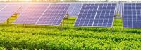 Climate-Safe Future: UNEP Urges Emission Cuts And Resilient Cities