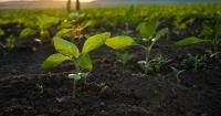 The new rules of climate-smart food