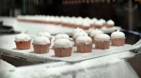 Kazakhstan’s Ice Cream Exports Surge Nearly 50-Fold in Nine Years