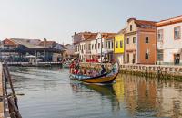 ACU alumni relations plans second international trip to Portugal
