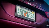 New license plate finally coming to Florida drivers. Here’s a look