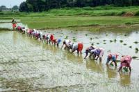 Centre to launch nationwide 'Khet Bachao Abhiyan' for sustainable farm...
