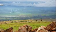 Economic feasibility studies: A step toward sustaining small businesses in the Northern Jordan Valley