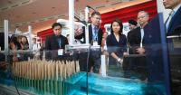 Singapore invests another $135m for coastal protection, flood resilience research