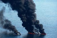 16 Years After Catastrophic Oil Spill, Marine Life Drastically Declined in the Gulf of Mexico
