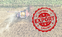 Agricultural Exports Supported $369 Billion In U.S. Economic Activity