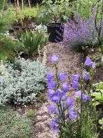Gardening on a Sandy Sponge