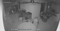 Florida bear cracks open patio fridge, helps itself to an alcoholic drink