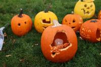 Give your pumpkin an afterlife at a Maine farm or your compost bin | Column