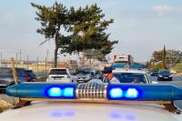 Customs Officers Seize 55 kg of Cannabis near Vidin–Calafat Border Crossing