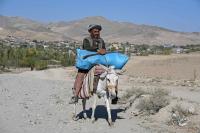 UN says 19m Afghans facing acute food insecurity by April