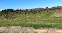 Louisiana receives $461K from USDA for specialty crop projects