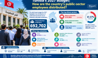 Tunisia’s 2027 budget: How are the country’s public-sector employees distributed?