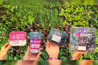 BerryWorld’s BOOBERRIES campaign raises funds for breast cancer charities across Europe and South Africa