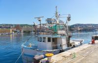 European Commission unveils Vision 2040 for fisheries and aquaculture