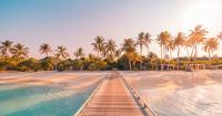 Caribbean Tourism Organisation plans November roadshows
