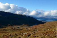 Microclimates Alter How Local Life Experiences Climate Change